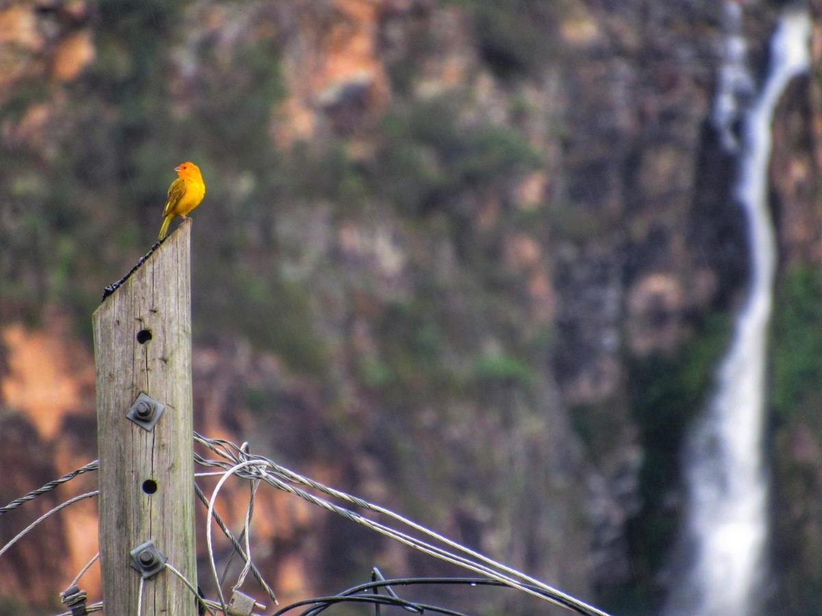 Pousada Mandalla Serra do Cipo National Park Екстериор снимка
